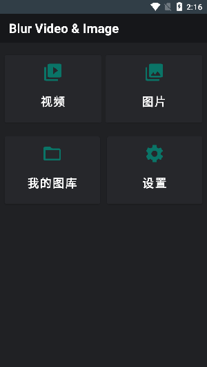 模糊视频和图片