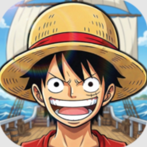 海贼王伙伴拉力赛国际服