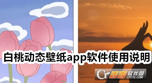 白桃動態壁紙app下載安卓版