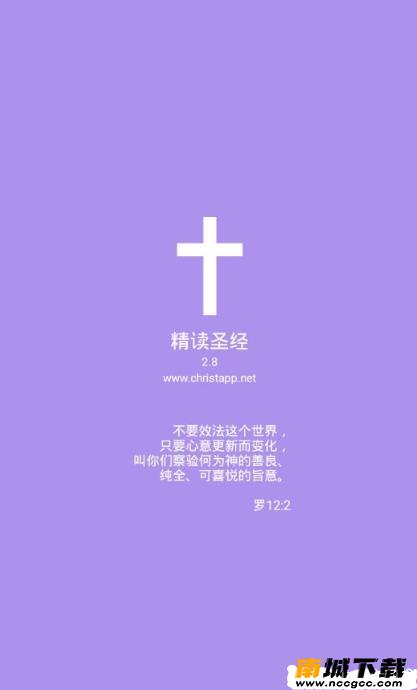 预览图3