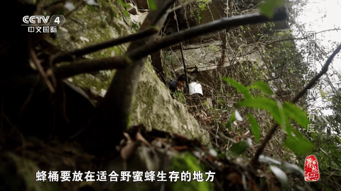 SimpleTV安卓版