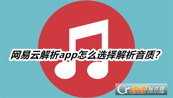 網(wǎng)易云解析app安卓版最新版2025