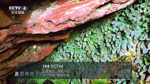 彩桥TV电视直播App