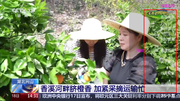 花样TVapp官方版2025