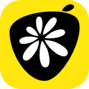 柚子剧场官方版