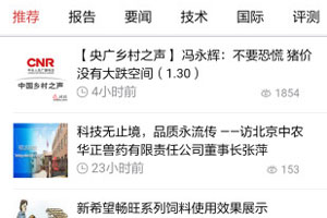金猪APP