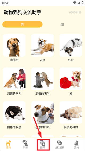 动物猫狗交流助手app