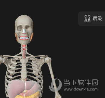 选择层级