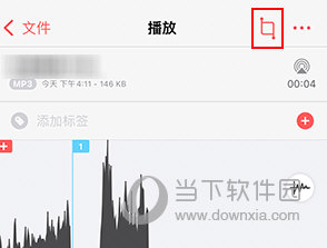 随声鹿