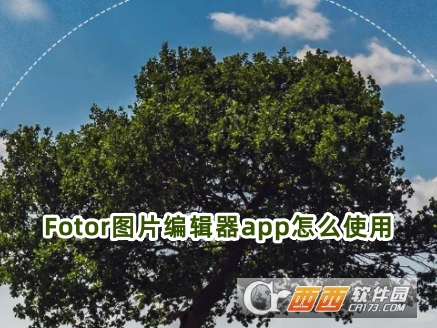 Fotor圖片編輯器最新版下載官方版