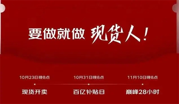 双十一活动攻略截图1