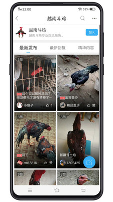 中国斗鸡论坛 v2.6.9安卓版下载