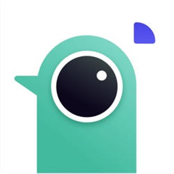 遥望壁纸 V1.2.5