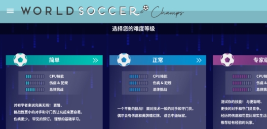 世界足球冠军