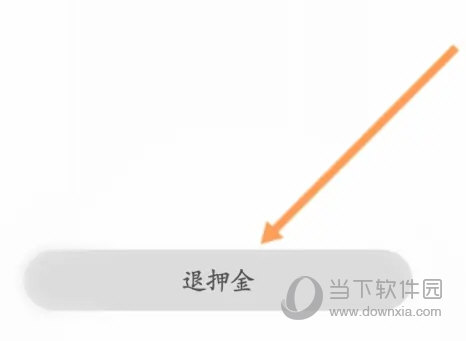 松果出行