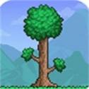 terraria免费版