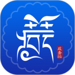 西藏政务 V2.9.1