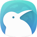KiwiBrowser官方版 v139.0.7339.0