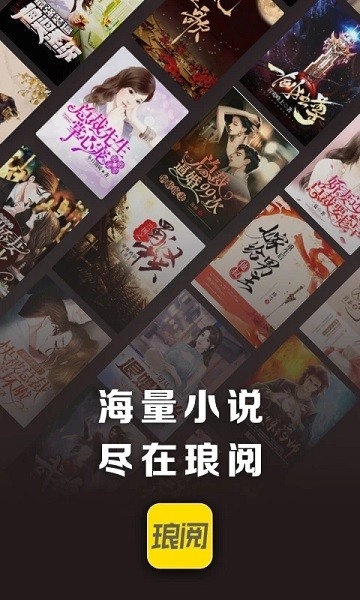 琅阅小说app图片