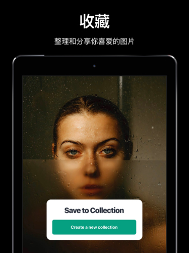 Pexels官方app v7.4.2