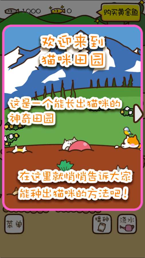 猫咪田园 1