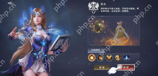 新神魔大陆圣女怎么样