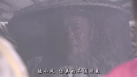 SimpleTV2024最新版