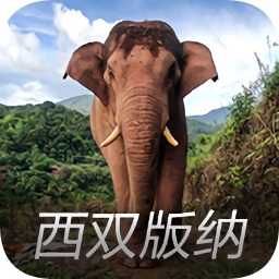 西双版纳亚洲象预警平台