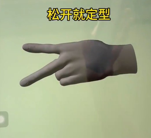 handmodel官方版