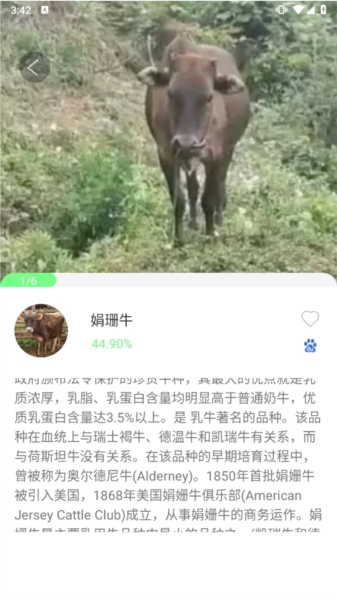智能拍照识物app