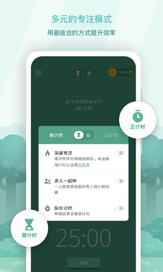 专注森林