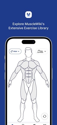 musclewiki官方版 v2.4.5