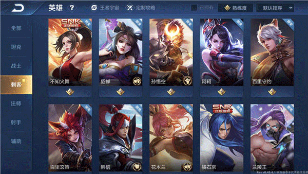 王者荣耀巴西服