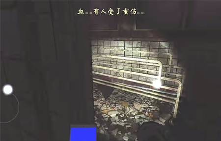 The Phenomenon联机版