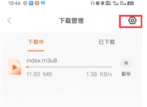 茶杯狐18