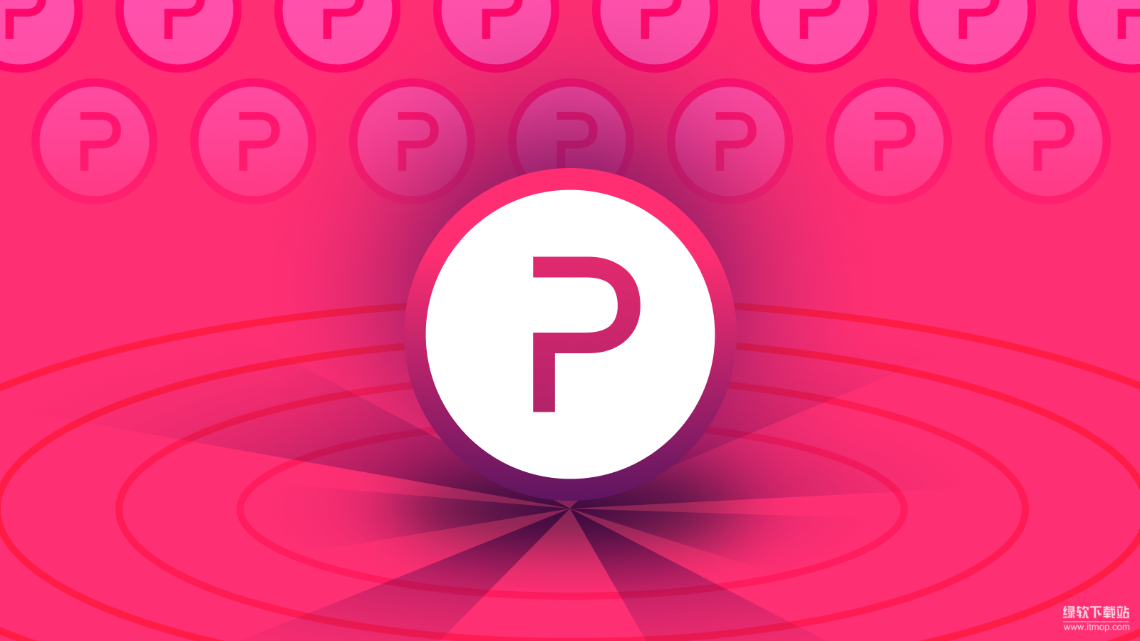 POLYX币主要功能是什么？如何参与网络治理？