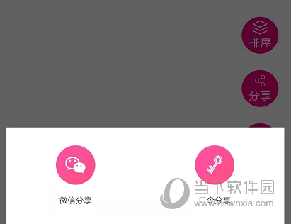 美印兔兔