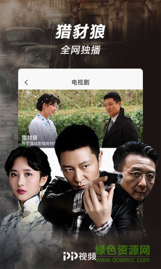 pp视频正式版2020下载