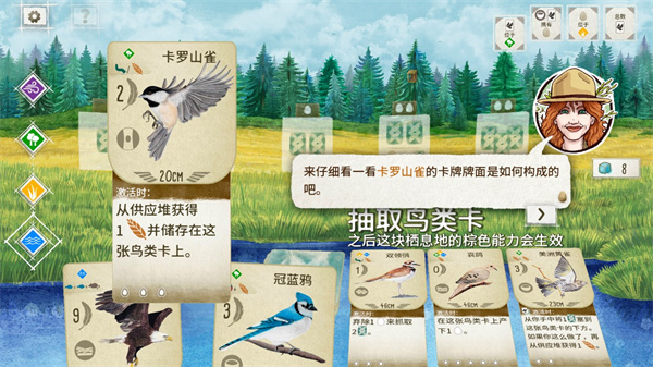 展翅翱翔桌游