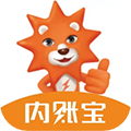内账宝 v3.9.3