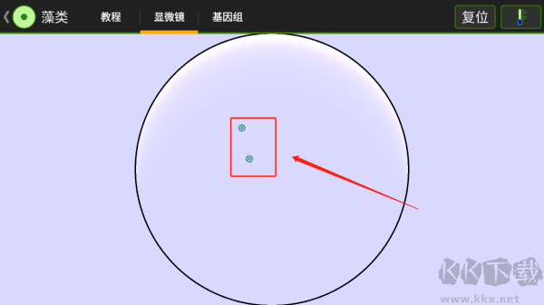 细胞实验室（Cell Lab）手机版v7.4安卓版 