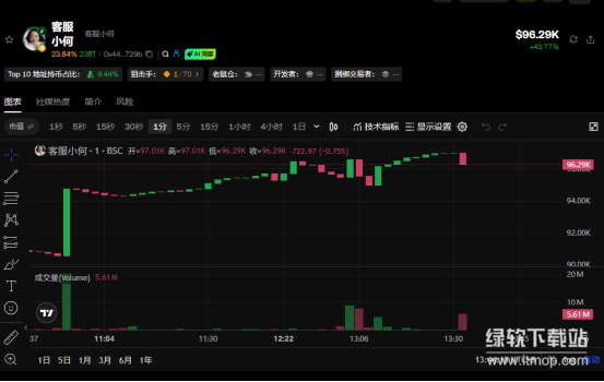 “客服小何”是什么迷因币？它如何受币某安高管影响短期暴涨？