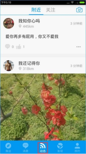 布鲁帝8