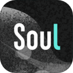 soul2022app