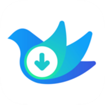 网页视频下载助手手机端v16.91