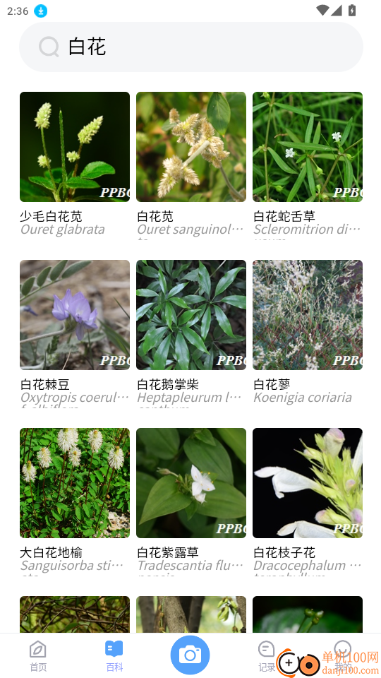 花伴侣专业版官网版