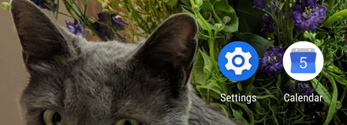 Android无障碍套件使用方法