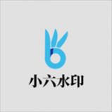 小六水印免费版 