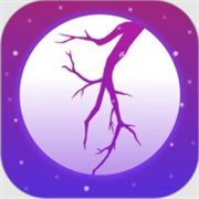 夜月直播app手机版