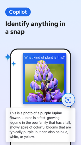 Microsoft Edge Beta